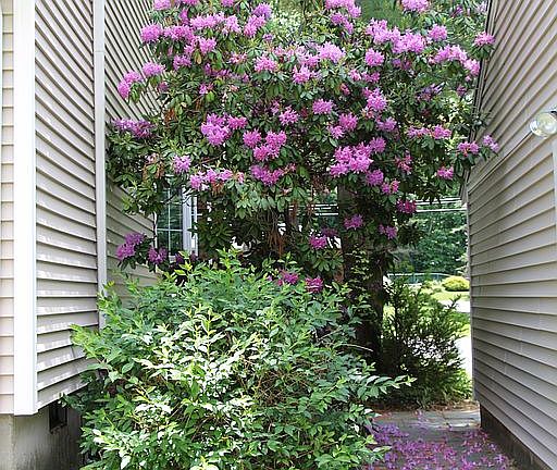 Passage btwn house, garage