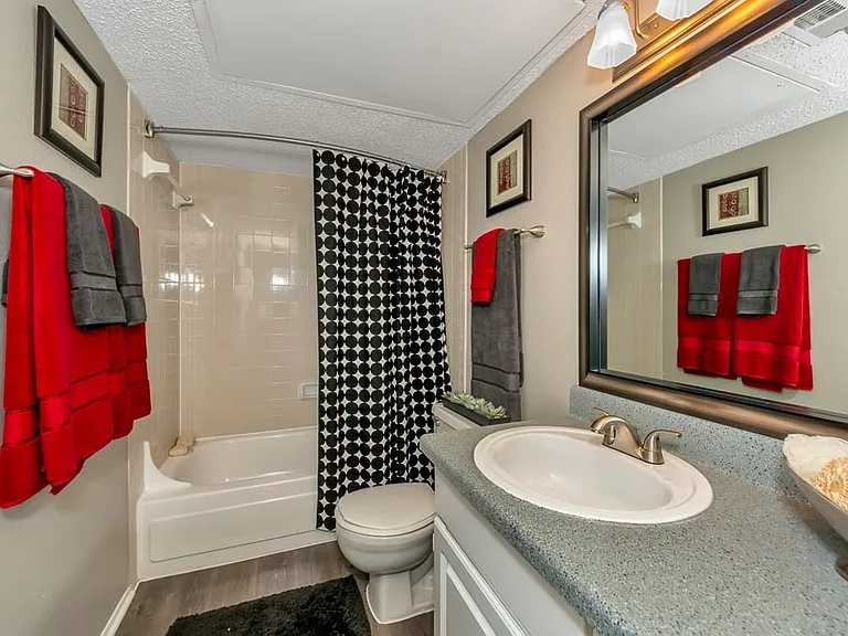 Bathroom with tub and shower combination