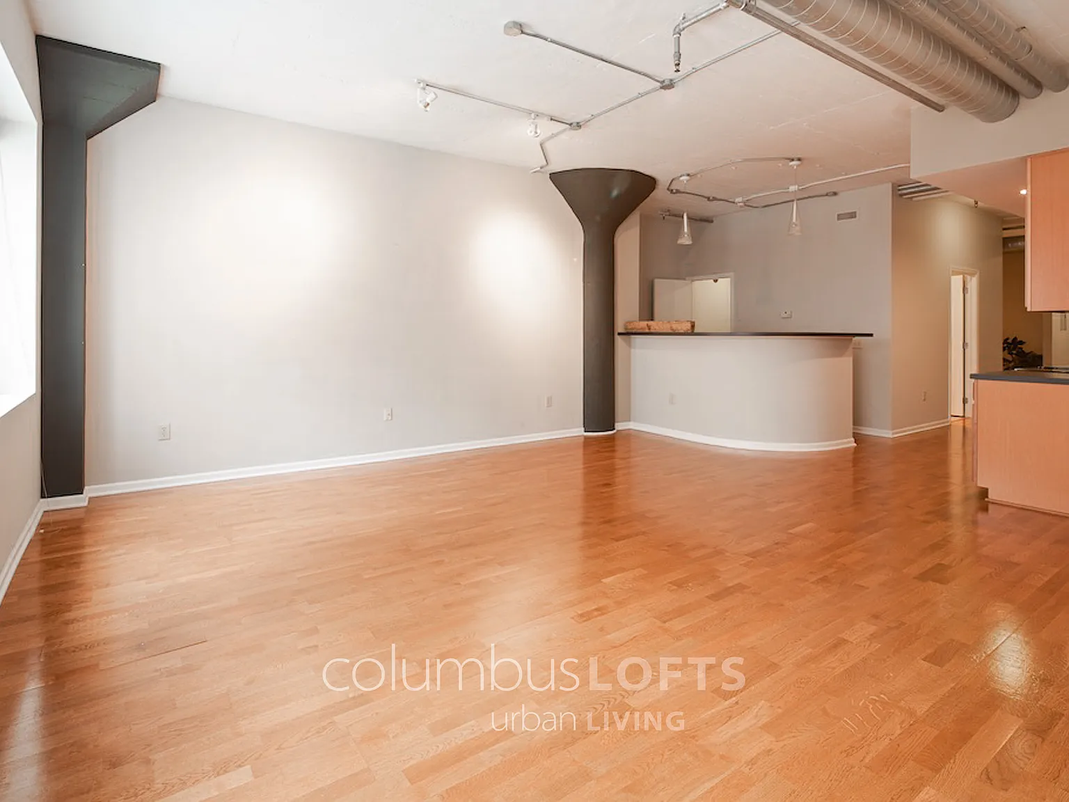 1 bed, 1000 sqft, $1,500 — Photo 2