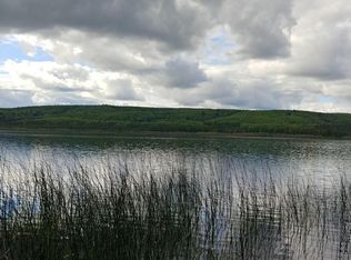 0 Lydia Ln, Manley Hot Springs, AK 99756