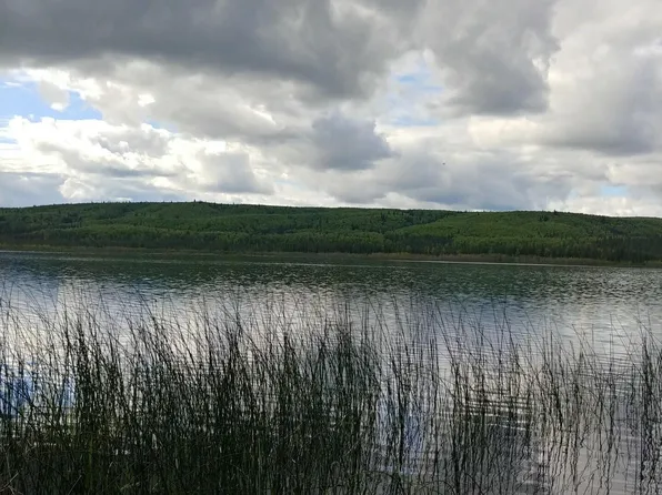 0 Lydia Ln, Manley Hot Springs, AK 99756