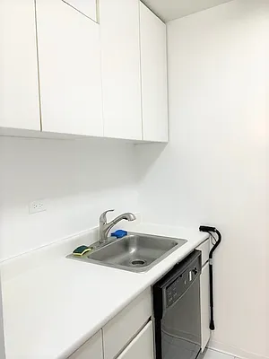 Rented by Douglas Elliman | media 4