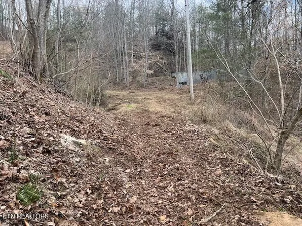 3071 Mica Way, Cosby, TN 37722