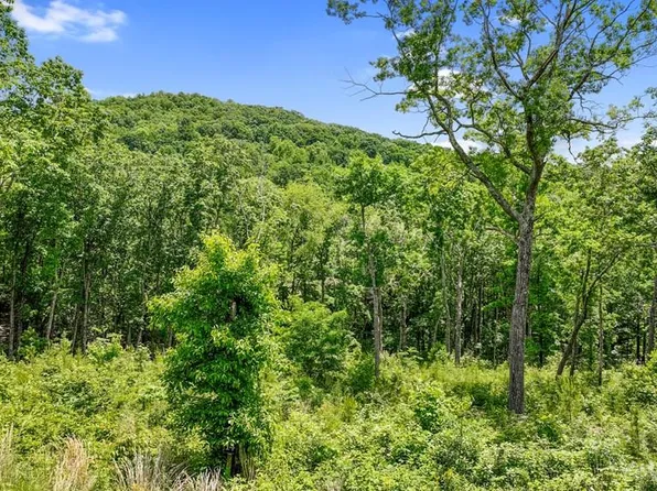 14 High Summit Dr, Ellijay, GA 30540