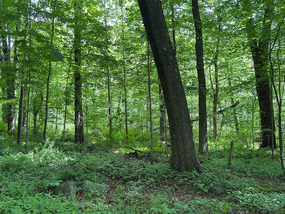 1st image of 319 White Oak Trail