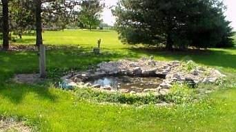 Back yard Gold Fish Pond