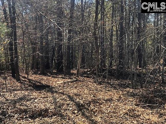 3rd image of 340 Lake Carolina Blvd
