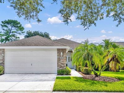 1812 Stafford Springs Blvd, Mount Dora, FL, 32757