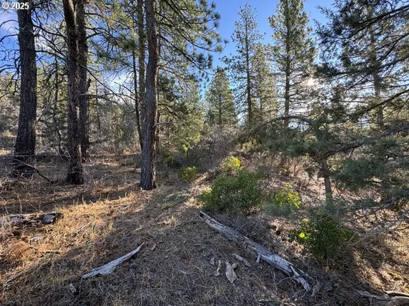 Hummingbird Dr #13, Bonanza, OR 97623