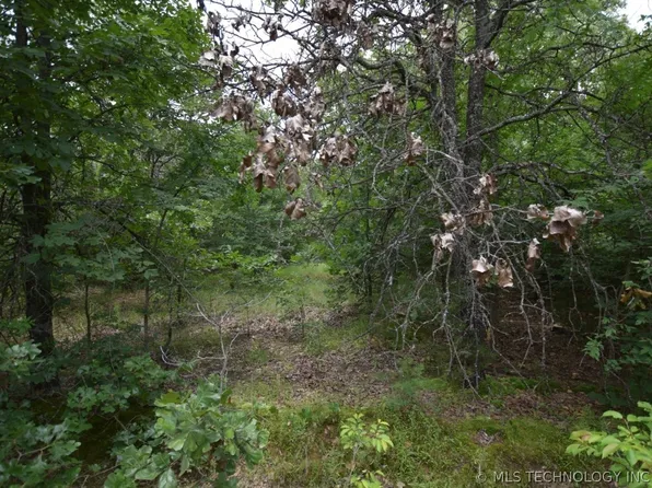 4 Darcy Dr, Vian, OK 74962