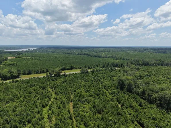 Township Road 5 Hwy #21E, Hemphill, TX 75948