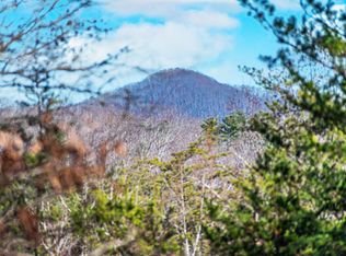 225A Echo Rd, Morganton, GA 30560