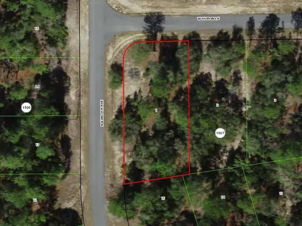 2896 W Huron Ln Lot 1, Dunnellon, FL 34433