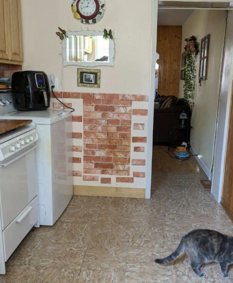 1 bed, 780 sqft, $1,150 — Photo 4
