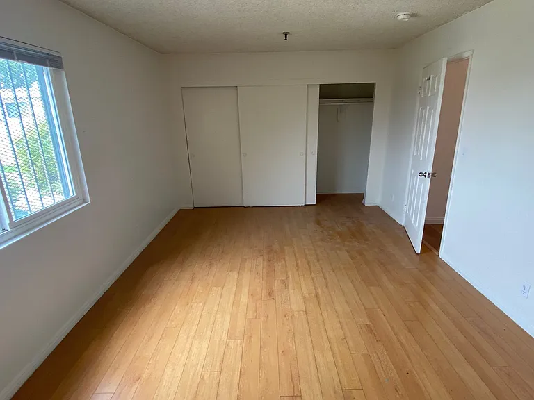 Apt Nelson — Photo 6