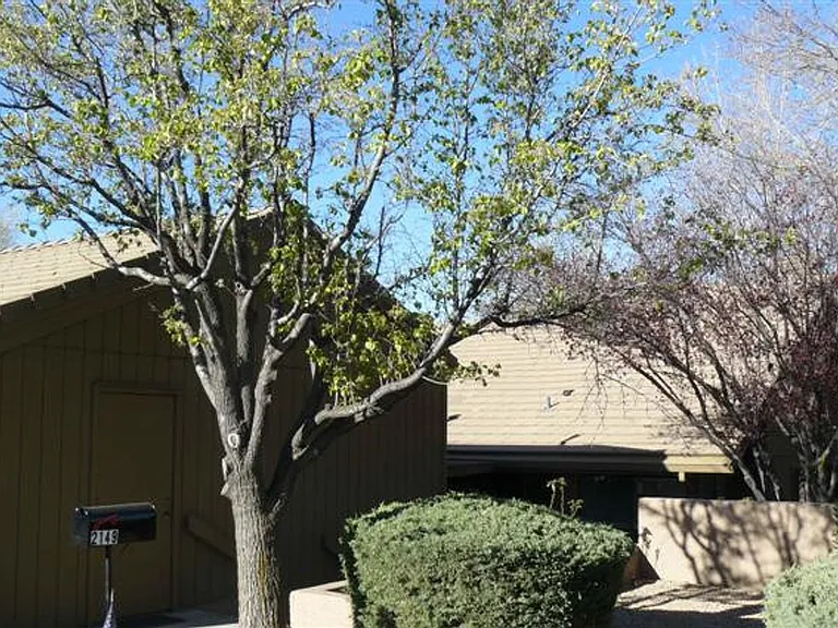 2149 Clubhouse Dr — Photo 13