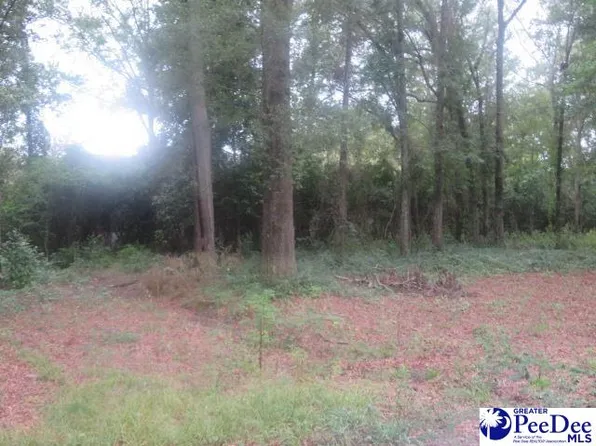 LOT 155 Easy St, Hartsville, SC 29550