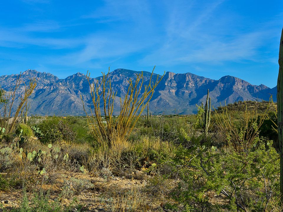 1st image of 1079 W Tortolita Mountain Cir