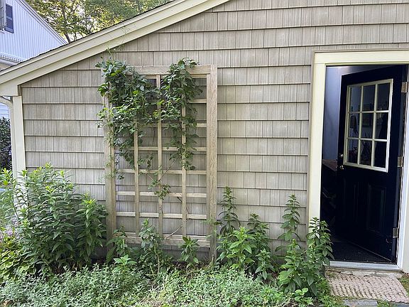 Backdoor to garage & trellis