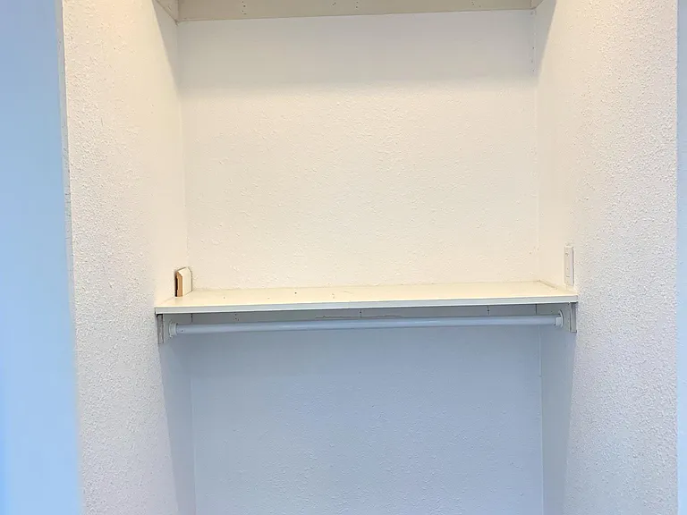 master walk in closet #2