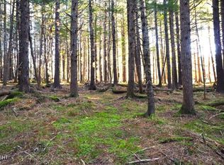 0 Alder Ct, Haines, AK 99827