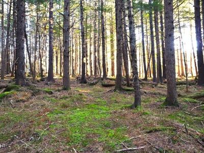 0 Alder Ct, Haines, AK, 99827