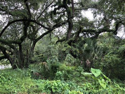 Kently, New Pt Richey, FL, 34654