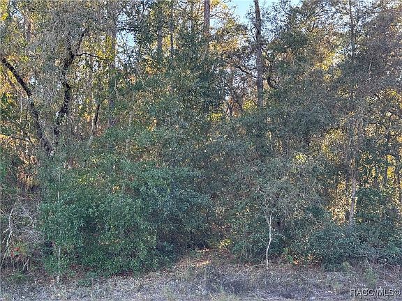 5th image of 3144 W Marie Dr