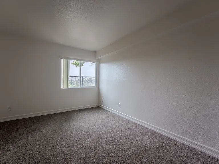 3415 Beech St — Photo 31