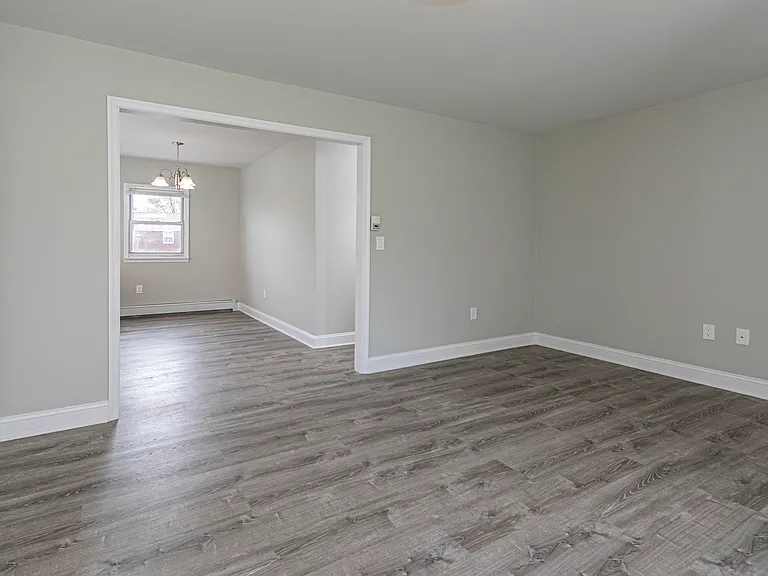 Modern grey composite flooring, luxurious molding and custom paint