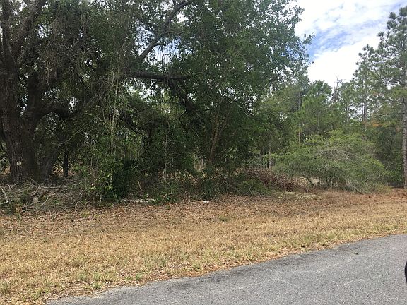 3rd image of 4251 Plumosa Dr