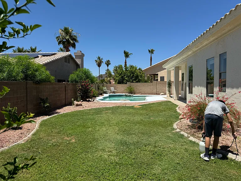 20906 N 56th Dr — Photo 3