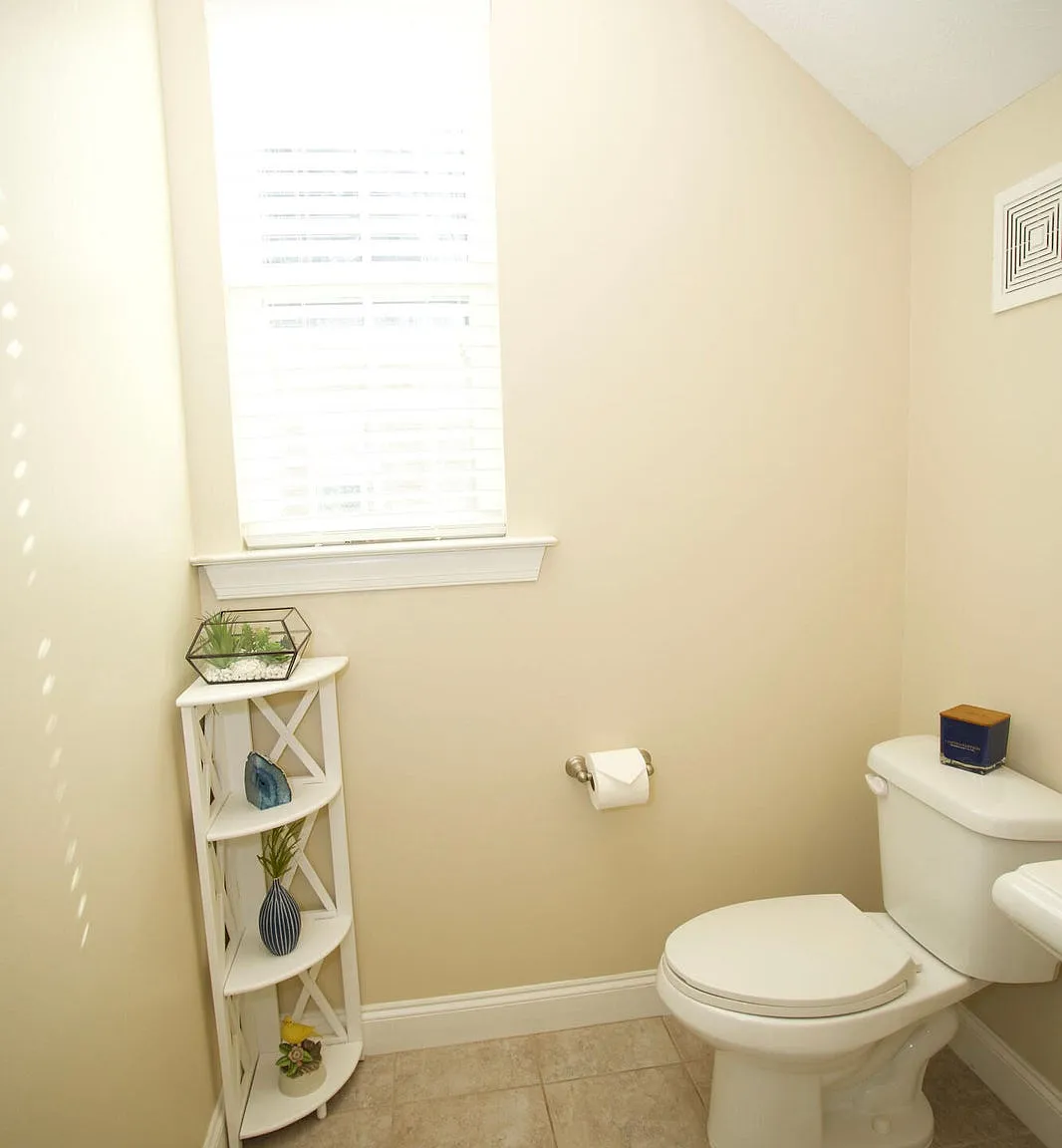 484 Brantley Cove Circle - 1 — Photo 3