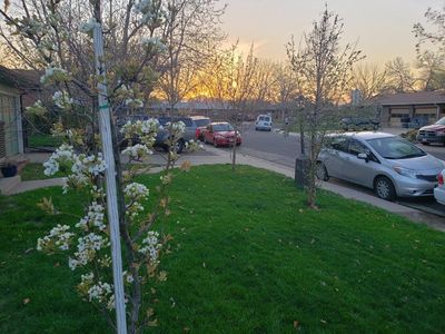 19 S Busch Ln, Longmont, CO, 80501