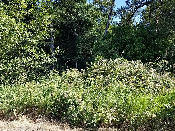 4th image of 0 Alabama Ln
