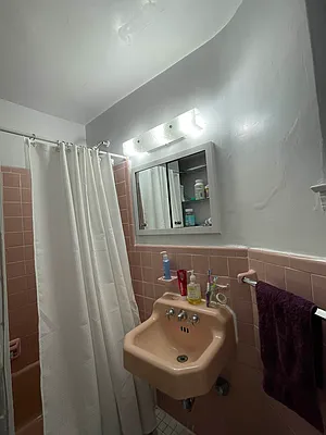 Rented by Eric Goodman Realty Corp | media 9