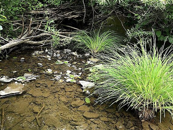 Chase Creek to the back