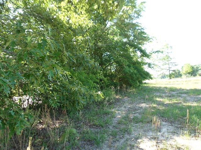 2nd image of 0 County Road 85