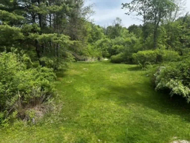 View of back yard