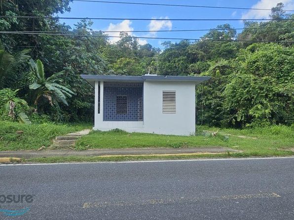 Carr 140 Km #56.1, Florida, PR 00650