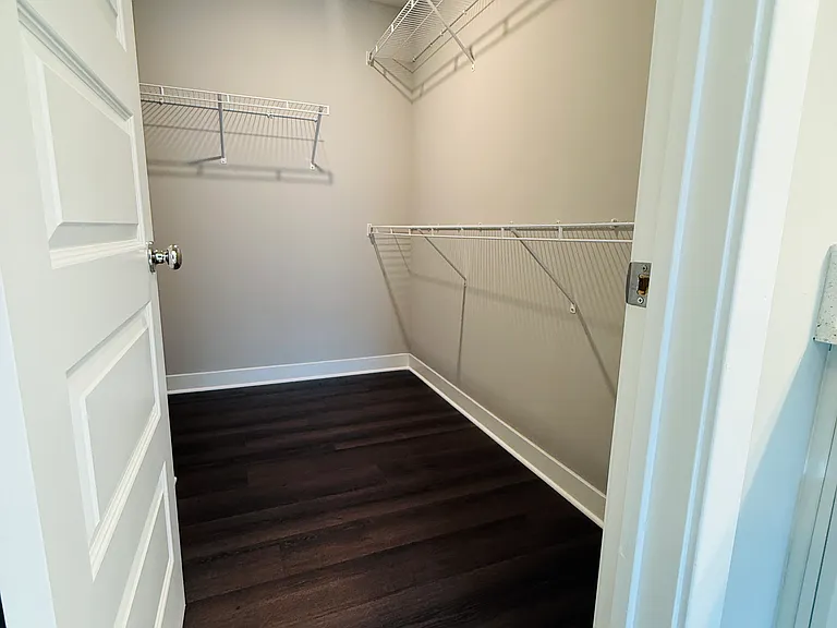 Walk in Closet with Shelves