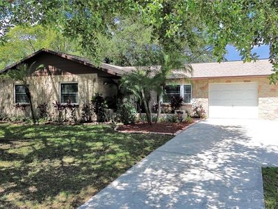 917 Chadsworth Ave, Seffner, FL, 33584