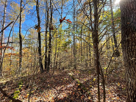 4th image of 0 Peterson Road