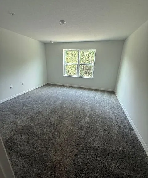 5236 Luisa Ct — Photo 10