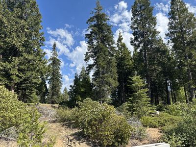 42307 Cook Cabin Ln, Shaver Lake, CA, 93664