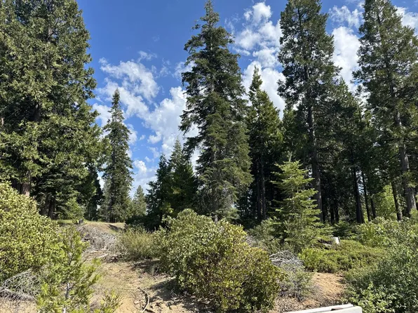 42307 Cook Cabin Ln, Shaver Lake, CA 93664