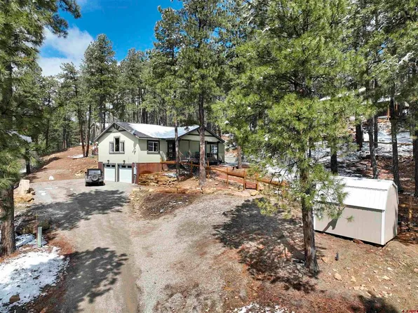 312 Pine Top Drive, Bayfield, CO 81122