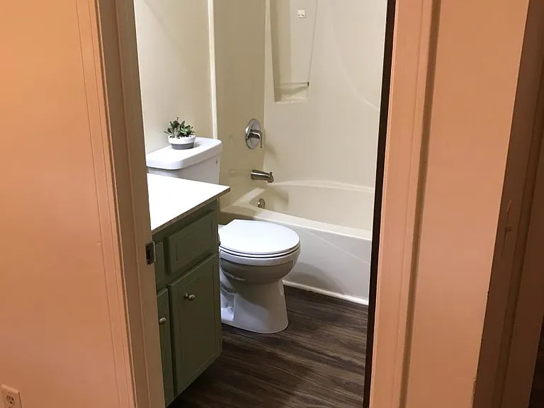 Renovated master bath with tub shower