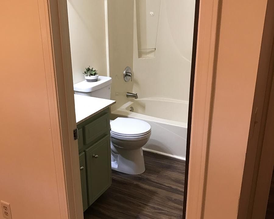 Renovated master bath with tub shower