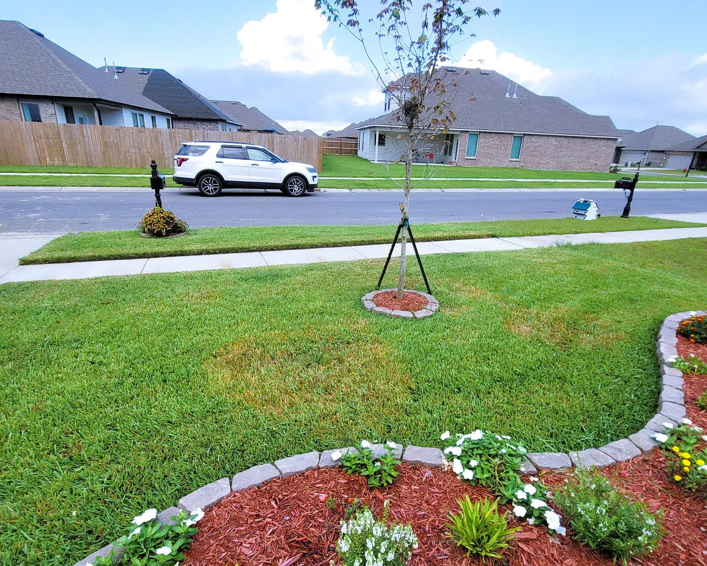 4 bed, 2014 sqft, $3,195 — Photo 2